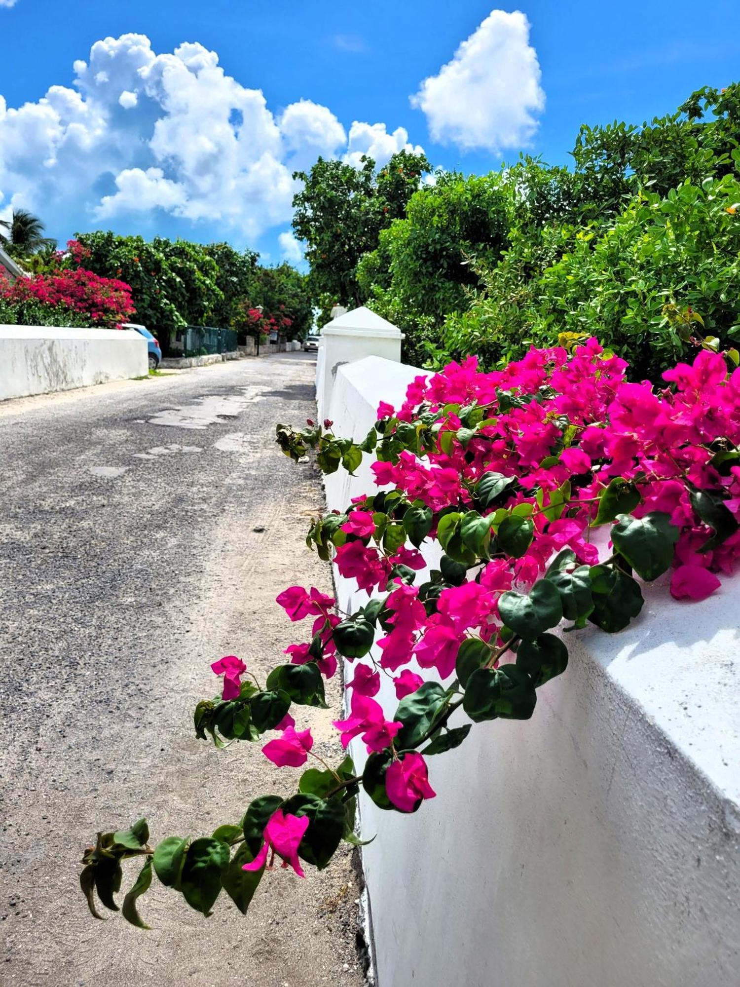 Turks Head Inne Grand Turk Bagian luar foto